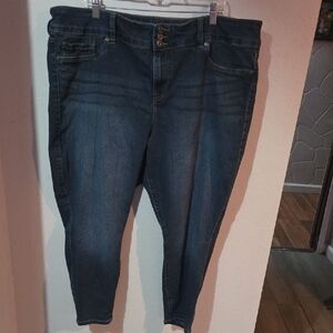 Torrid Dark Blue Ankle Jeans